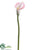 Calla Lily Spray - Pink - Pack of 12