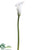 Calla Lily Spray - White - Pack of 12