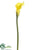 Calla Lily Spray - Yellow - Pack of 12