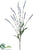 Lavender Spray - Blue - Pack of 24