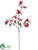 Lily Spray - Red - Pack of 12