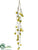 Chinese Lantern Vine - Olive Green - Pack of 6