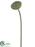 Silk Plants Direct Lotus Pod Spray - Green - Pack of 12
