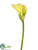 Calla Lily Spray - Green - Pack of 12