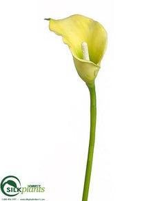 Calla Lily Spray - Green - Pack of 12