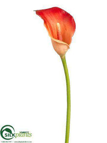 Calla Lily Spray - Orange - Pack of 12
