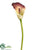 Calla Lily Spray - Plum Yellow - Pack of 12
