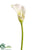 Calla Lily Spray - White - Pack of 12