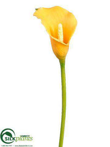 Calla Lily Spray - Yellow Two Tone - Pack of 12