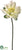 Lotus Bloom Spray - Cream Yellow - Pack of 12