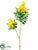 Silk Plants Direct Locust Branch - Yellow - Pack of 12