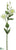 Lisianthus Spray - Cream - Pack of 12