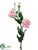 Lisianthus Spray - Pink Two Tone - Pack of 12