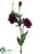 Lisianthus Spray - Violet Two Tone - Pack of 12