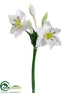 Silk Plants Direct Star Lily Spray - White Green - Pack of 12