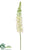 Foxtail Lily Spray - Cream - Pack of 6