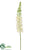 Foxtail Lily Spray - Cream - Pack of 6