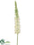 Foxtail Lily Spray - Cream - Pack of 6