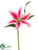 Lily Spray - Fuchsia - Pack of 12