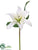 Lily Spray - White - Pack of 12