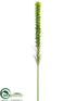 Silk Plants Direct Liatris Spray - Green - Pack of 12