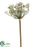 Silk Plants Direct Lace Bud Spray - Green Frosted - Pack of 12