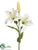 Day Lily Spray - Cream - Pack of 12