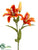 Day Lily Spray - Orange Two Tone - Pack of 12