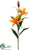 Lily Spray - Orange - Pack of 12