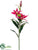 Lily Spray - Rubrum Pink - Pack of 12