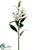 Lily Spray - White - Pack of 12