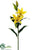 Lily Spray - Yellow - Pack of 12