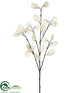 Silk Plants Direct Lunaria Spray - Cream Pearl - Pack of 12