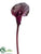 Calla Lily Spray - Eggplant - Pack of 12