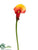 Calla Lily Spray - Flame Two Tone - Pack of 12
