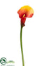 Silk Plants Direct Calla Lily Spray - Flame Two Tone - Pack of 12