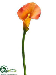 Calla Lily Spray - Orange Two Tone - Pack of 12
