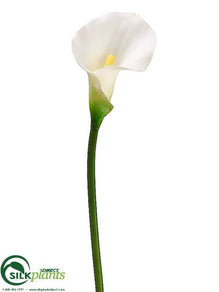 Calla Lily Spray - White - Pack of 12