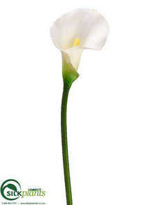 Calla Lily Spray - White - Pack of 12