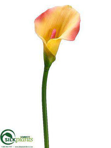 Calla Lily Spray - Yellow Pink - Pack of 12