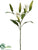 Lily Bud Spray - Cream Green - Pack of 6
