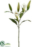 Silk Plants Direct Lily Bud Spray - Cream Green - Pack of 6