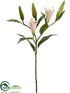 Silk Plants Direct Lily Bud Spray - Cream Rubrum - Pack of 6