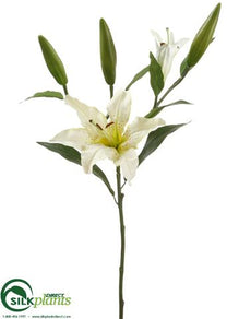 Lily Spray - Cream Green - Pack of 6