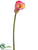 Mini Calla Lily Spray - Fuchsia - Pack of 12