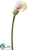 Mini Calla Lily Spray - Green Pink - Pack of 12
