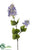 Lilac Spray - Blue Delphinium - Pack of 12
