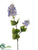 Lilac Spray - Blue Delphinium - Pack of 12