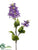 Lilac Spray - Purple - Pack of 12