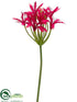 Silk Plants Direct Nerine Lily Spray - Beauty Two Tone - Pack of 6